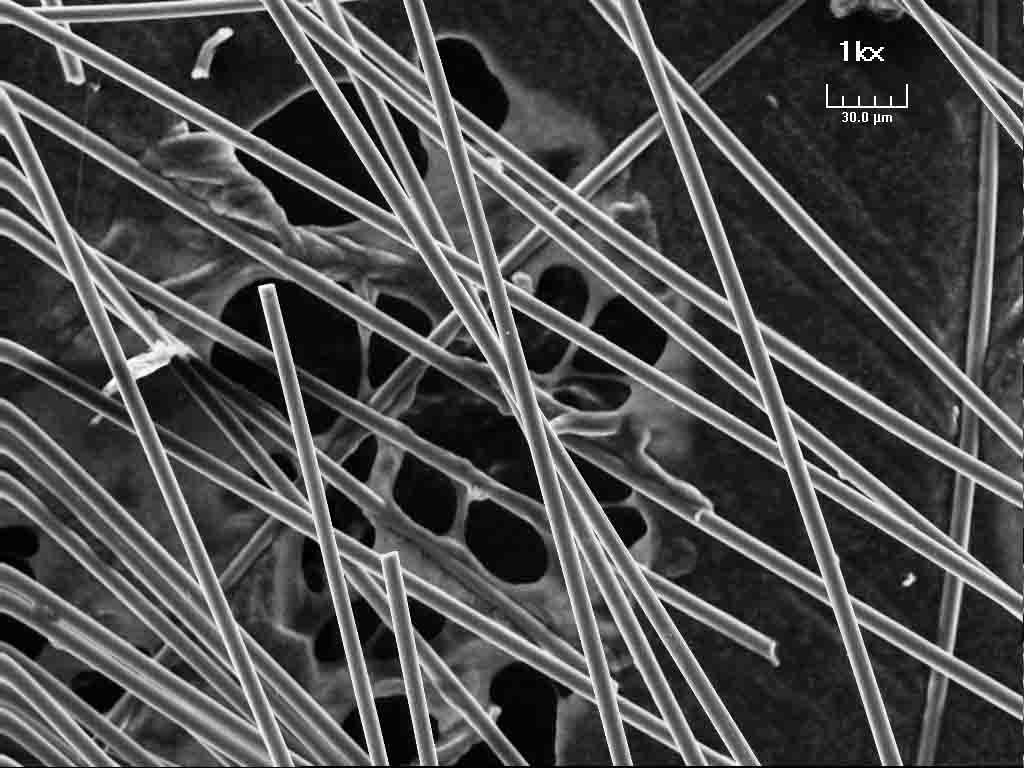 Microscopie_electronique_a_balayage_fibre_de_carbone_faible_grossissement